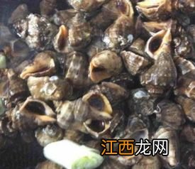 海螺煮多久能熟怎么吃