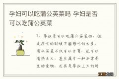 孕妇可以吃蒲公英菜吗 孕妇是否可以吃蒲公英菜