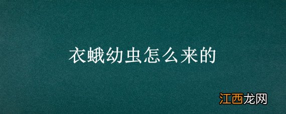 衣蛾的成虫 衣蛾幼虫怎么来的