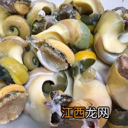 大海螺煮多久可以吃