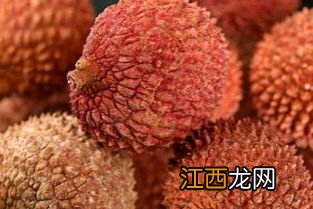 桂圆树冬天种植方法 种植龙眼树的步骤