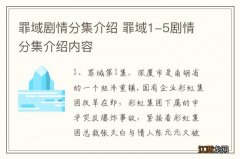 罪域剧情分集介绍 罪域1-5剧情分集介绍内容