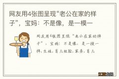 网友用4张图呈现“老公在家的样子”，宝妈：不是像，是一模一样