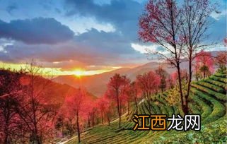 下关无量山怎么样