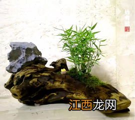 怎么沤制茶叶