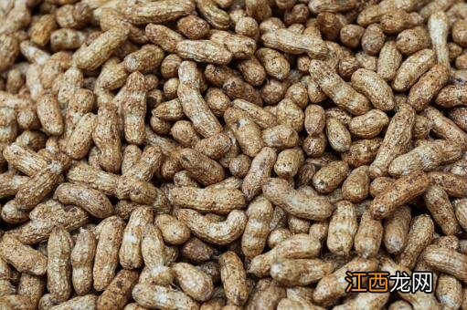 花生价格2022最新行情:今日价一斤多少钱?