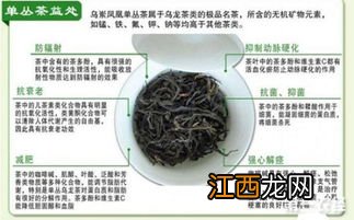 单枞茶的单怎么发音