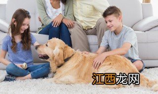 孩子偷东西怎么教育 孩子偷东西的教育方法