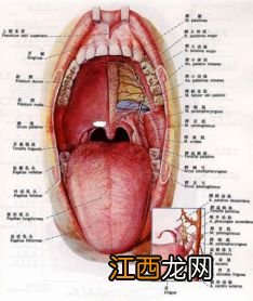 咽炎什么菜不能吃什么