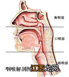 咽炎什么菜不能吃什么