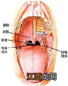 咽喉炎吃的要注意什么好