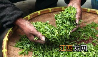 喝完茶胃胀痛怎么办