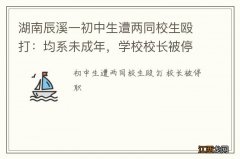 湖南辰溪一初中生遭两同校生殴打：均系未成年，学校校长被停职