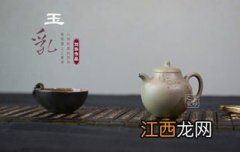 怎么养茶壶视频