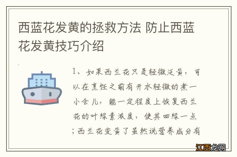 西蓝花发黄的拯救方法 防止西蓝花发黄技巧介绍