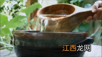 新茶宠怎么用热水煮啊