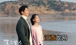 海上繁花窦骁主演的电视剧 海上繁花窦骁主演的电视剧的简介