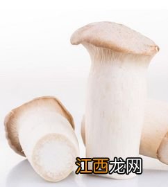 杏鲍菇和什么不能同吃吗