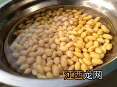 泡了多久的豆子算湿豆