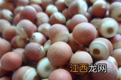 新鲜的芡实什么样