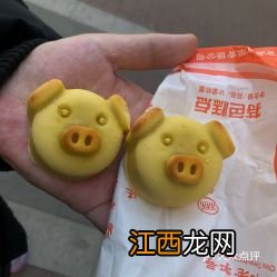 小猪美食是什么配送