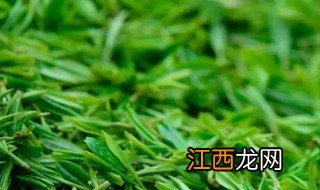 清明茶不香了怎么处理 清明茶不香了解决方法