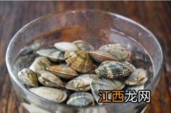 自己挖花蛤回来可以放多久