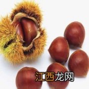 板栗能保存多久