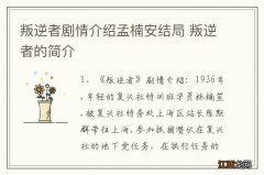 叛逆者剧情介绍孟楠安结局 叛逆者的简介