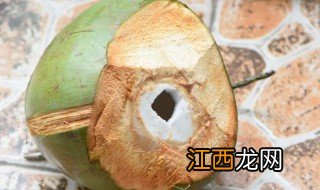 椰子里面为什么有水? 椰子里面有水原因