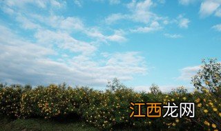 天空歌词 天空的歌曲简介