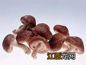 香菇有什么作用与功效与作用