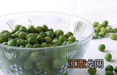 青豆能放多久