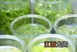 超市怎么区分茶叶真假