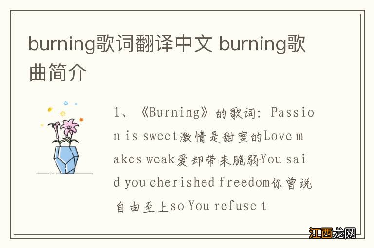 burning歌词翻译中文 burning歌曲简介