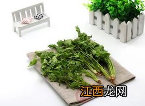 香菜禁止和什么一起吃