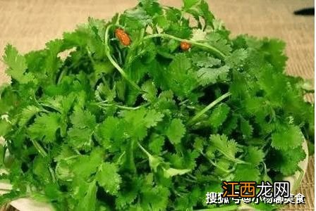 香菜禁止和什么一起吃