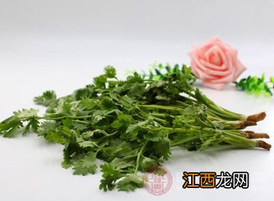 香菜禁止和什么一起吃