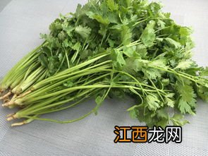 香菜不能同什么一起吃吗