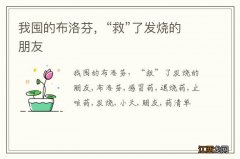 我囤的布洛芬，“救”了发烧的朋友