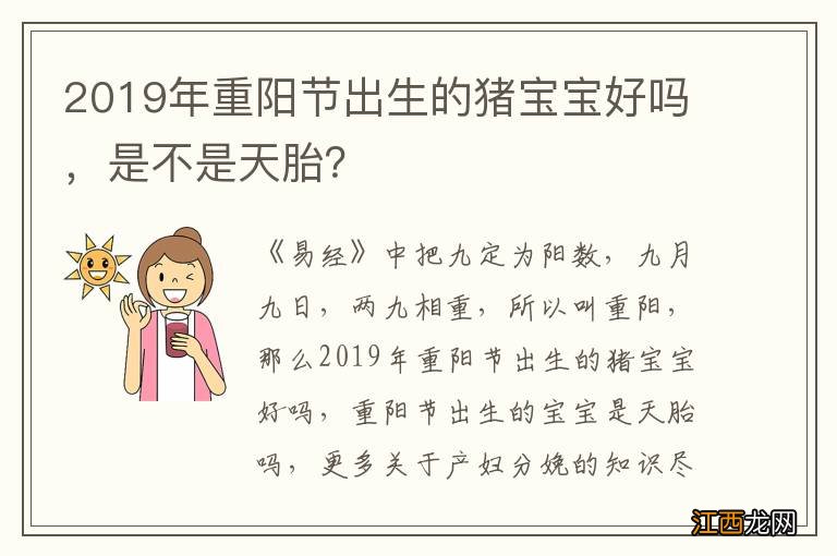 2019年重阳节出生的猪宝宝好吗，是不是天胎？