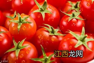 西红柿不可与什么同食吗