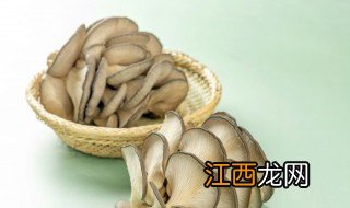 羊肉汤可以放蘑菇吗 羊肉汤能不能放蘑菇