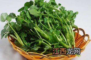 西洋菜什么季节可以吃吗