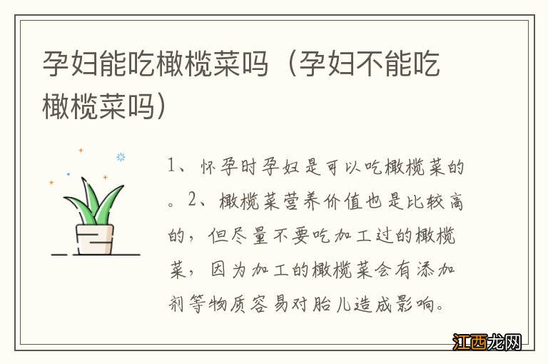 孕妇不能吃橄榄菜吗 孕妇能吃橄榄菜吗