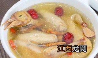 鸽子汤适合放什么食材 鸽子汤的相关知识