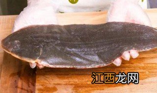 黑鱼和龙利鱼的区别 黑鱼和龙利鱼的区别有哪些