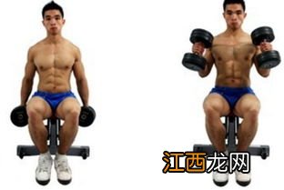 肱三头肌锻炼的方法 肱三头肌锻炼方法介绍