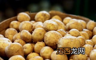 为什么马铃薯是茄科