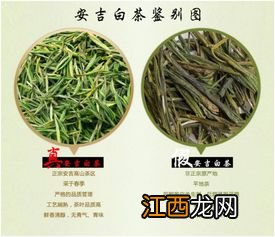 好白茶怎么鉴定